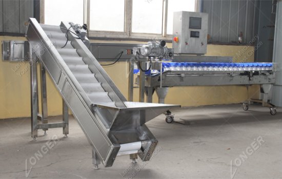 Introductions Of Mango Sorting Production Line